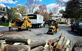 Best Hedge Trimming  in Mitchellville, MD