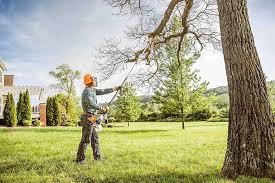 Best Lawn Irrigation Installation and Maintenance  in Mitchellville, MD